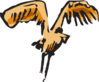 Landing Bird Art Clip Art